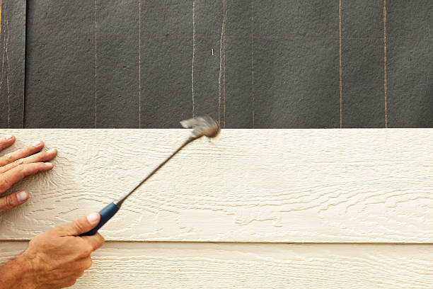 Best Siding Removal and Disposal  in Ridgeway, AK